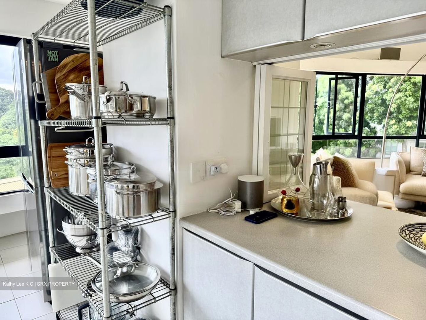 The Draycott (D10), Apartment #538339581